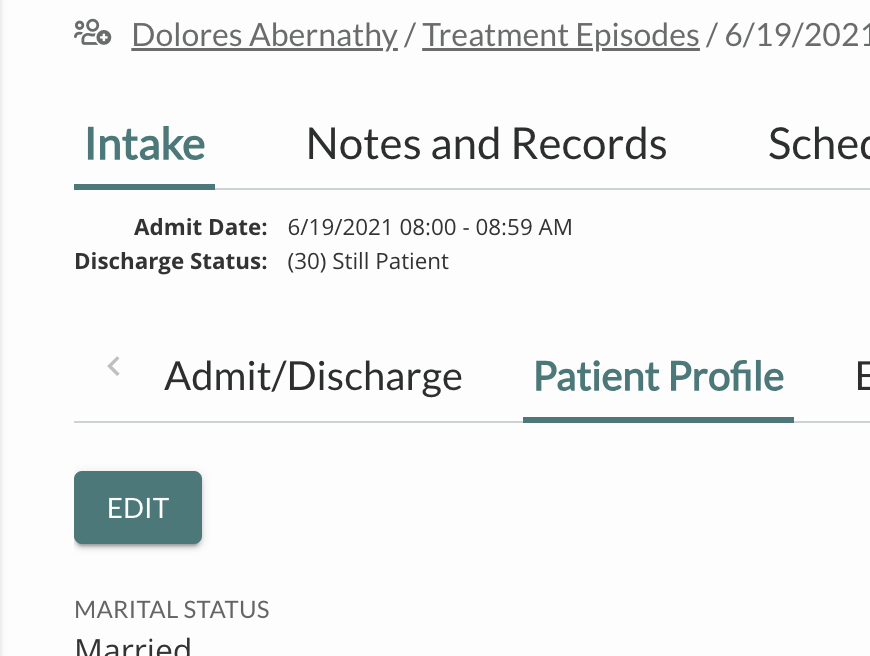 Treatment Episode Patient Profile.png