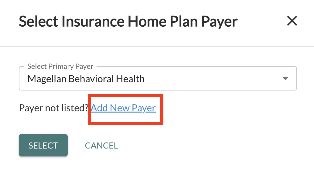 Add New Payer.png